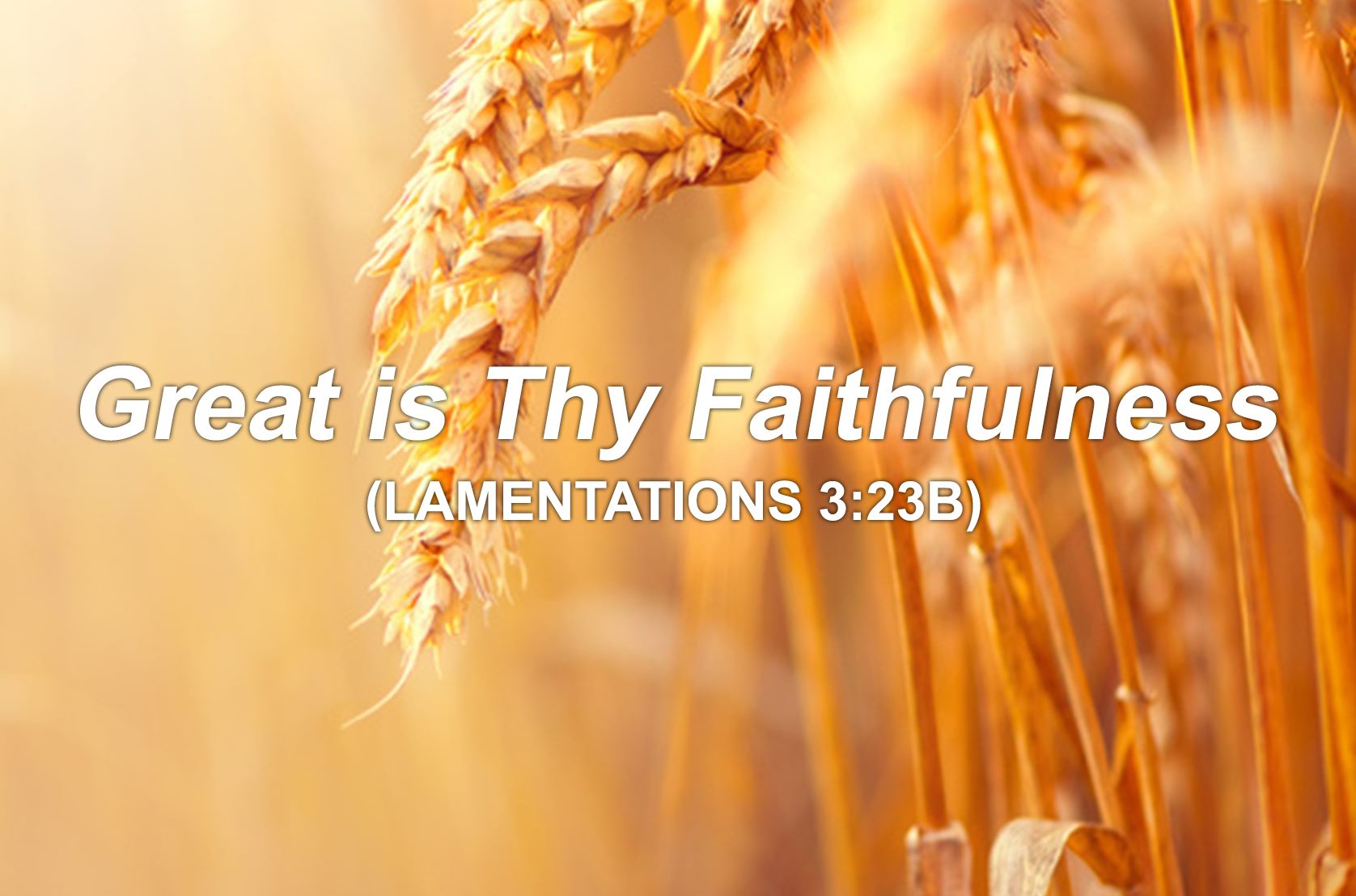 Great is Thy Faithfulness (LAMENTATIONS 3:23B)
